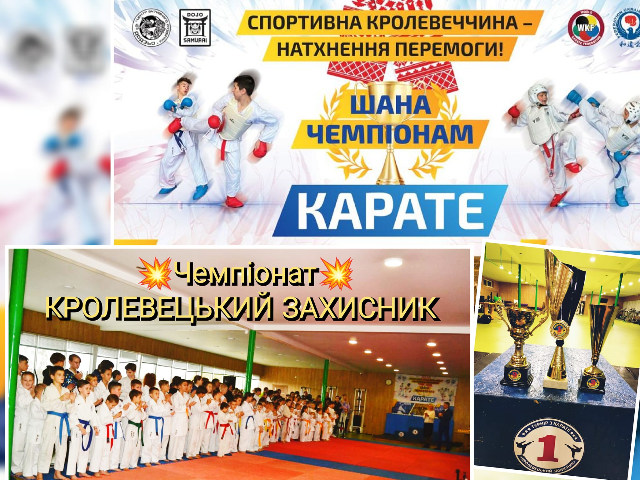 Міжрайонний чемпіонат з карате «Кролевецький захисник»