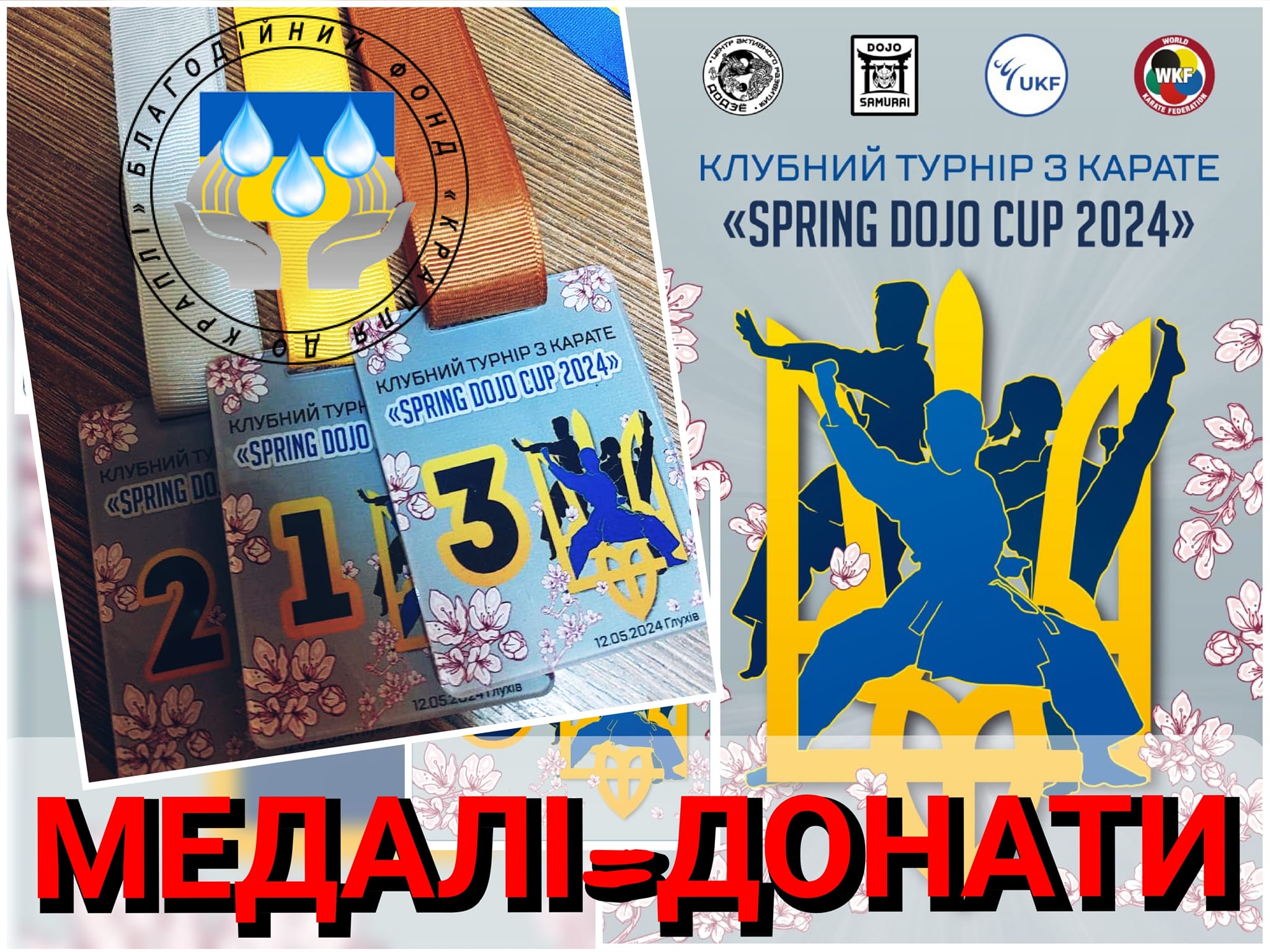 SpringDojoCUP 2024