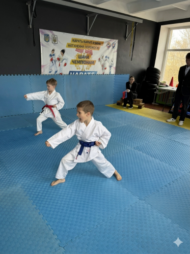 Gemini_Generated_Image_2r880c2r880c2r88